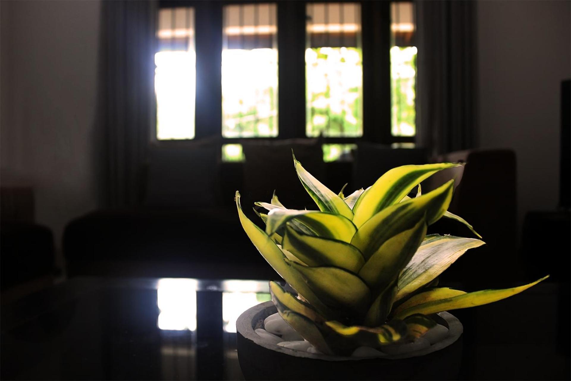 Seasons Villa Sigiriya, Sri Lanka Дамбулла Экстерьер фото